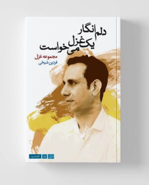 دلم انگار یک غزل می‌خواست